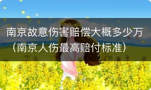 南京故意伤害赔偿大概多少万（南京人伤最高赔付标准）