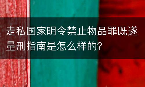 走私国家明令禁止物品罪既遂量刑指南是怎么样的？