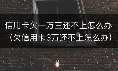 信用卡欠一万三还不上怎么办（欠信用卡3万还不上怎么办）