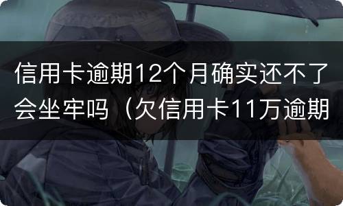 信用卡逾期12个月确实还不了会坐牢吗（欠信用卡11万逾期几个月会被捉走）