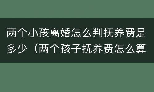 两个小孩离婚怎么判抚养费是多少（两个孩子抚养费怎么算 离婚后）