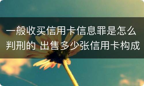一般收买信用卡信息罪是怎么判刑的 出售多少张信用卡构成犯罪
