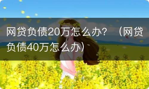网贷负债20万怎么办？（网贷负债40万怎么办）