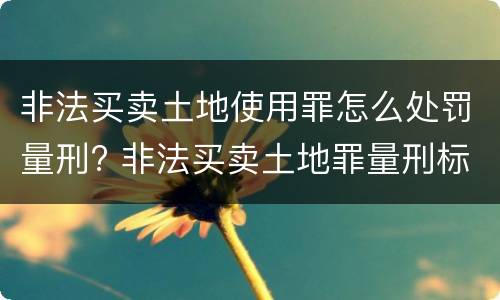非法买卖土地使用罪怎么处罚量刑? 非法买卖土地罪量刑标准