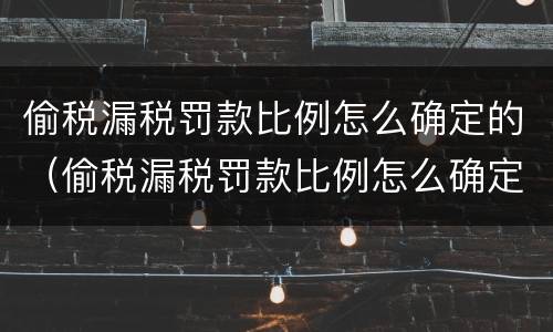 偷税漏税罚款比例怎么确定的（偷税漏税罚款比例怎么确定的呢）