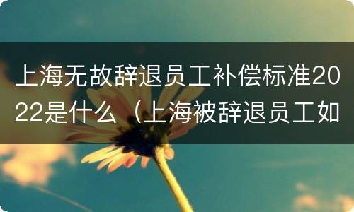 上海无故辞退员工补偿标准2022是什么（上海被辞退员工如何要求赔偿）