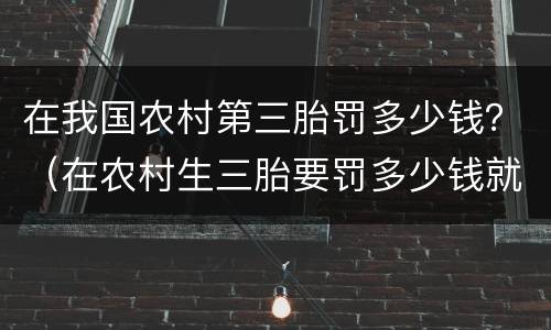 在我国农村第三胎罚多少钱？（在农村生三胎要罚多少钱就是现在）
