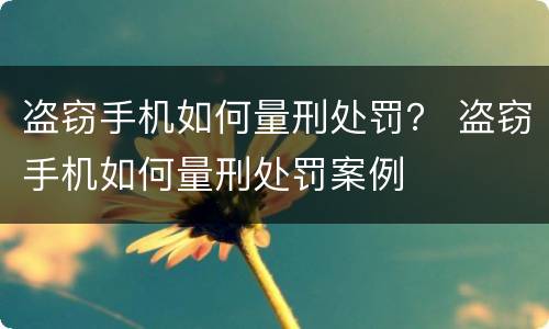 盗窃手机如何量刑处罚？ 盗窃手机如何量刑处罚案例