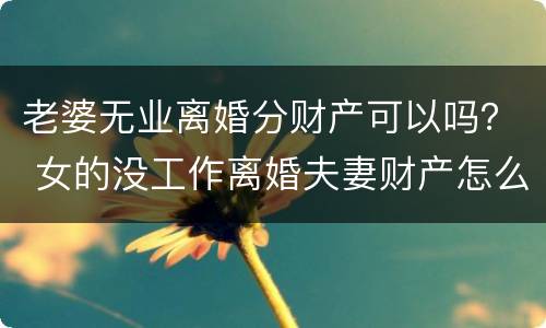 老婆无业离婚分财产可以吗？ 女的没工作离婚夫妻财产怎么分