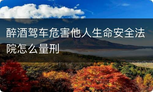 醉酒驾车危害他人生命安全法院怎么量刑