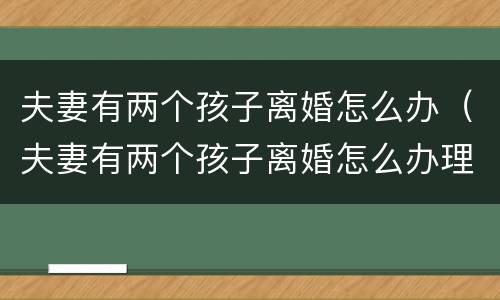 夫妻有两个孩子离婚怎么办（夫妻有两个孩子离婚怎么办理）