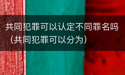 共同犯罪可以认定不同罪名吗（共同犯罪可以分为）