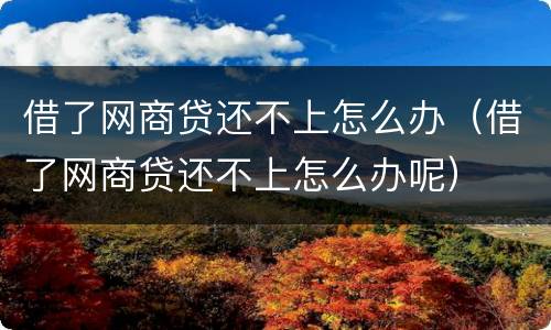 借了网商贷还不上怎么办（借了网商贷还不上怎么办呢）