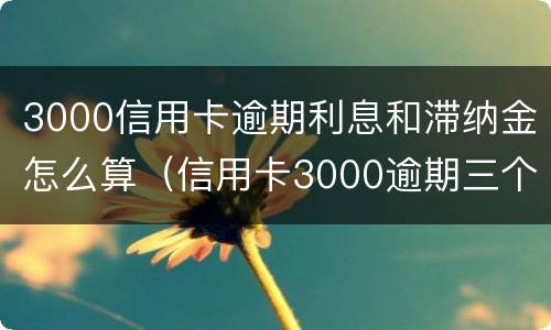 3000信用卡逾期利息和滞纳金怎么算（信用卡3000逾期三个月利息和滞纳金是多少）
