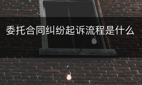 委托合同纠纷起诉流程是什么