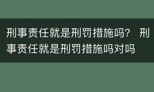 刑事责任就是刑罚措施吗？ 刑事责任就是刑罚措施吗对吗