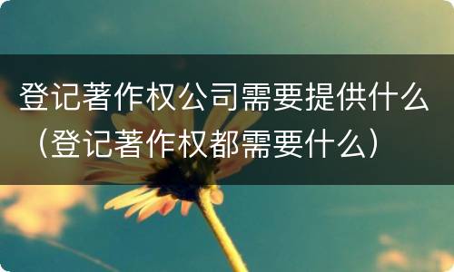 登记著作权公司需要提供什么（登记著作权都需要什么）