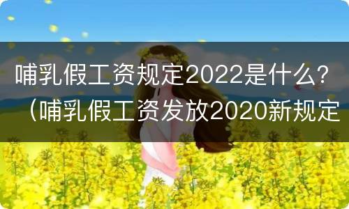 哺乳假工资规定2022是什么？（哺乳假工资发放2020新规定）