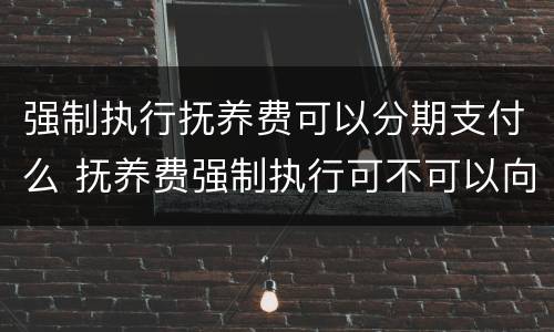强制执行抚养费可以分期支付么 抚养费强制执行可不可以向对方父母要