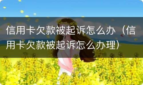 信用卡欠款被起诉怎么办（信用卡欠款被起诉怎么办理）