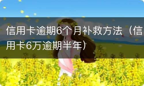 信用卡逾期6个月补救方法（信用卡6万逾期半年）