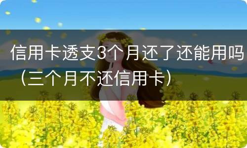 信用卡透支3个月还了还能用吗（三个月不还信用卡）