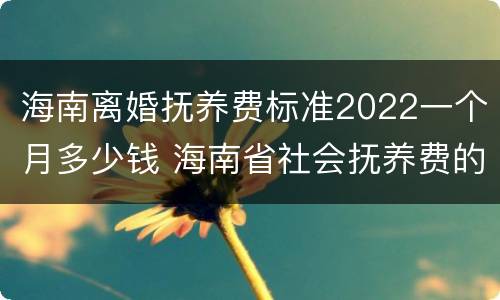 海南离婚抚养费标准2022一个月多少钱 海南省社会抚养费的征收标准