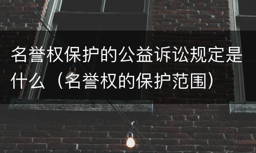 名誉权保护的公益诉讼规定是什么（名誉权的保护范围）