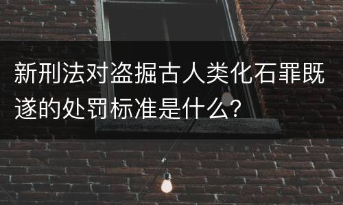 新刑法对盗掘古人类化石罪既遂的处罚标准是什么？