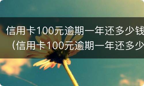 信用卡100元逾期一年还多少钱（信用卡100元逾期一年还多少钱合适）