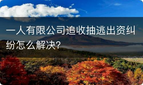 一人有限公司追收抽逃出资纠纷怎么解决？