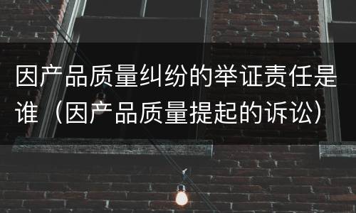 因产品质量纠纷的举证责任是谁（因产品质量提起的诉讼）