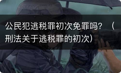 公民犯逃税罪初次免罪吗？（刑法关于逃税罪的初次）