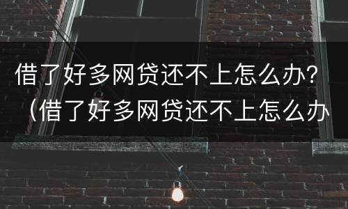 借了好多网贷还不上怎么办？（借了好多网贷还不上怎么办呀）