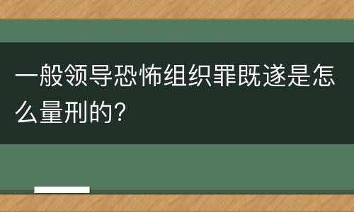 一般领导恐怖组织罪既遂是怎么量刑的?