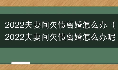 2022夫妻间欠债离婚怎么办（2022夫妻间欠债离婚怎么办呢）