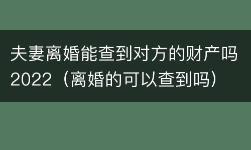 夫妻离婚能查到对方的财产吗2022（离婚的可以查到吗）