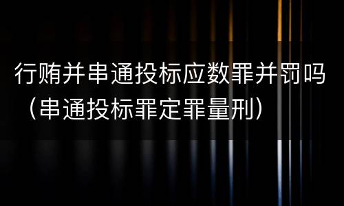 行贿并串通投标应数罪并罚吗（串通投标罪定罪量刑）