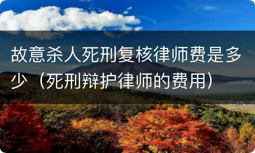 故意杀人死刑复核律师费是多少（死刑辩护律师的费用）
