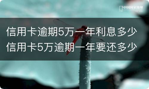 信用卡逾期5万一年利息多少 信用卡5万逾期一年要还多少