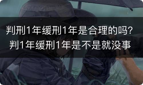 判刑1年缓刑1年是合理的吗？ 判1年缓刑1年是不是就没事