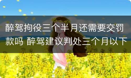 醉驾拘役三个半月还需要交罚款吗 醉驾建议判处三个月以下拘役