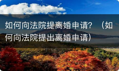如何向法院提离婚申请？（如何向法院提出离婚申请）