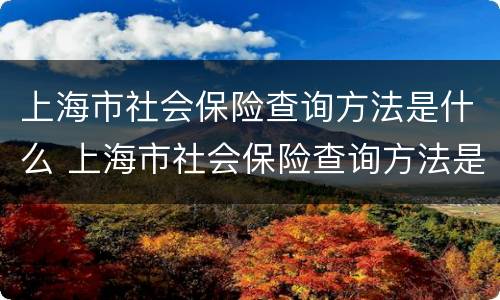 上海市社会保险查询方法是什么 上海市社会保险查询方法是什么样的