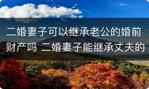 二婚妻子可以继承老公的婚前财产吗 二婚妻子能继承丈夫的婚前房产吗