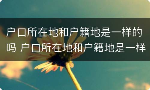 户口所在地和户籍地是一样的吗 户口所在地和户籍地是一样的吗怎么填
