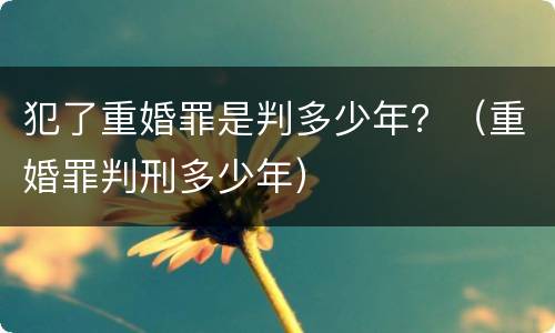 犯了重婚罪是判多少年？（重婚罪判刑多少年）