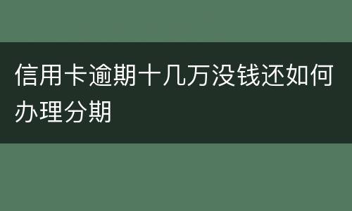 信用卡逾期十几万没钱还如何办理分期