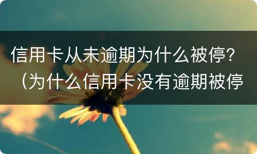 信用卡从未逾期为什么被停？（为什么信用卡没有逾期被停了?）