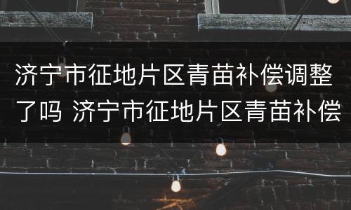 济宁市征地片区青苗补偿调整了吗 济宁市征地片区青苗补偿调整了吗最新消息